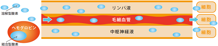 高気圧酸素とは?